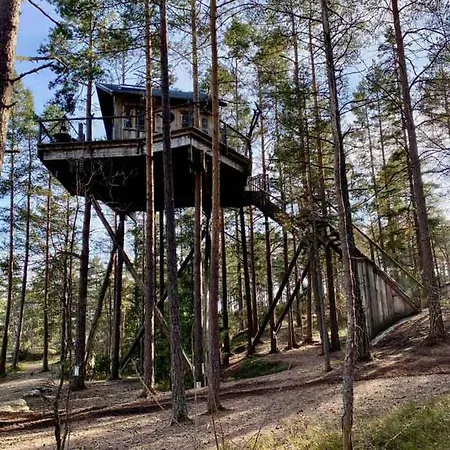 Tretopphytter Pa Grensen - Elghytta Med Robat Og Gjeddefiske Halden Extérieur photo