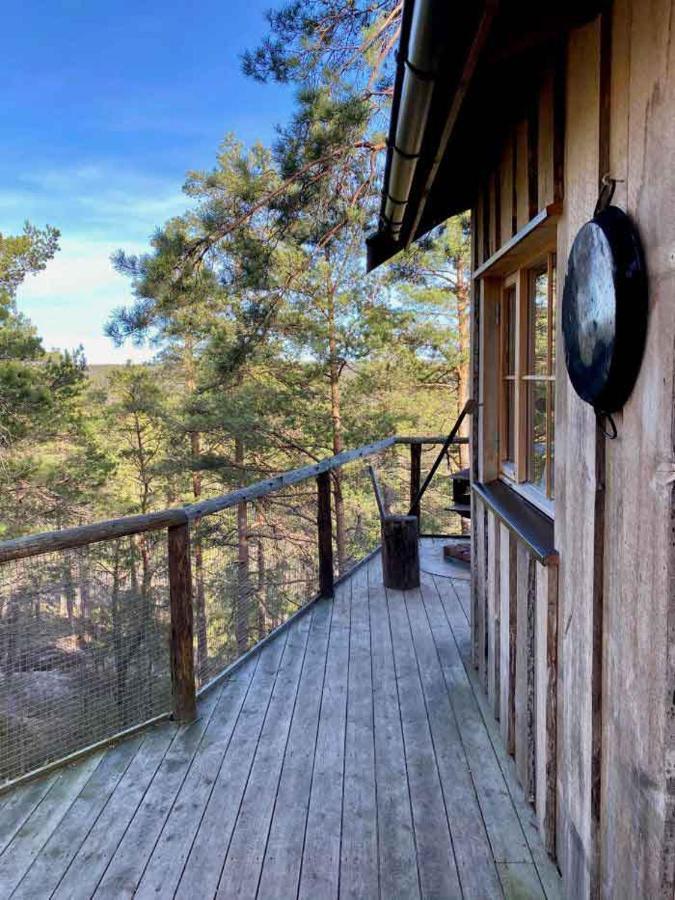 Chalet Tretopphytter Pa Grensen - Elghytta Med Robat Og Gjeddefiske *